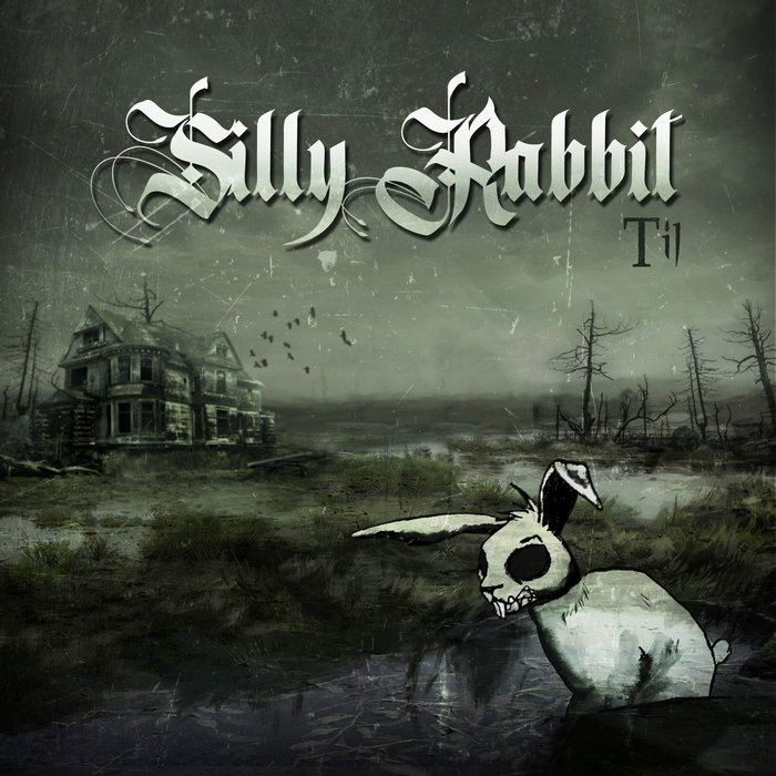 Silly Rabbit | TIL