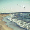 Wave