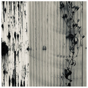 Poetry of Torch — monuments