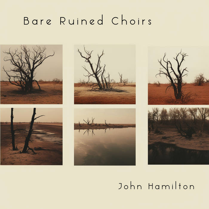 Bare Ruined Choirs John Hamilton
