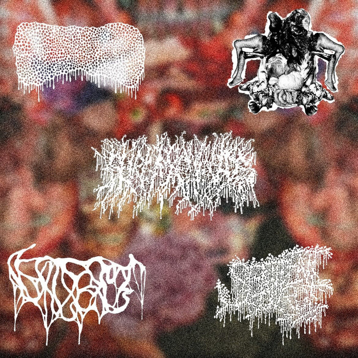 Sentient Corpse 5-Way Split | Lymphoedema, Nervous Body, Shrunken Heads, VxCxBxGx ...