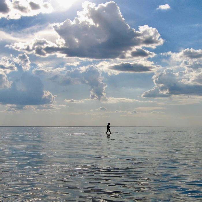 lopen op het water | kim hoelscher