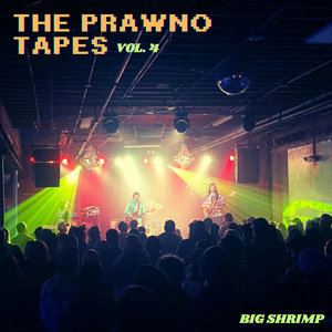 The Prawno Tapes, Vol. 4 cover