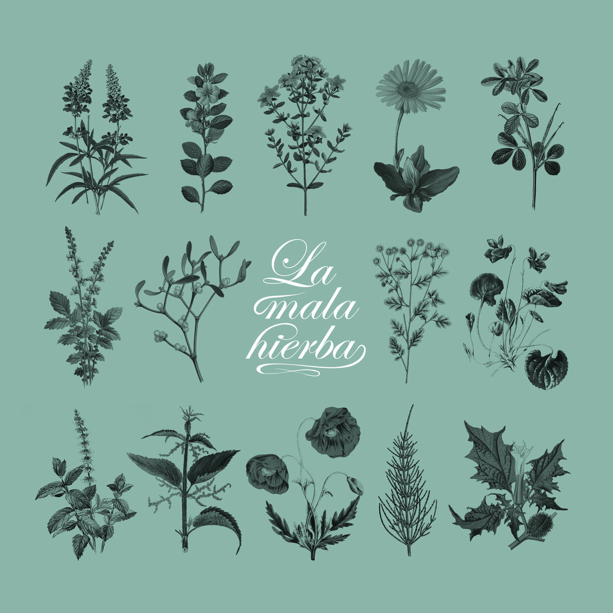 La Mala Hierba | La Mala Hierba