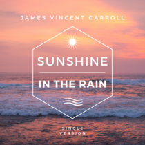 Sunshine In The Rain (Single Version Re-Mastered) - 2022 cover art