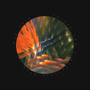 Inside the Crystalline Blob cover
