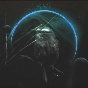 Kalyptra — Nightingale