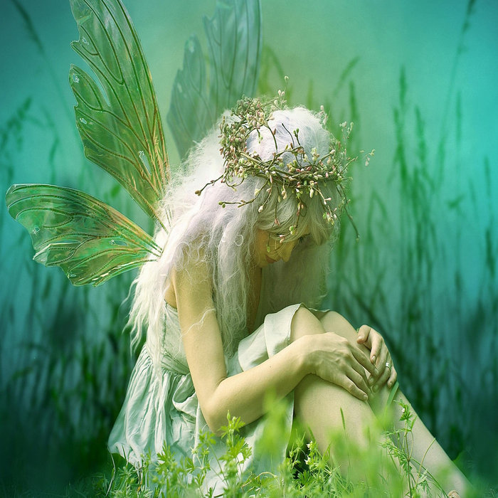 sad fairy dress up The look was garden fairy. So sad my wings elastic broke in the first hour tho