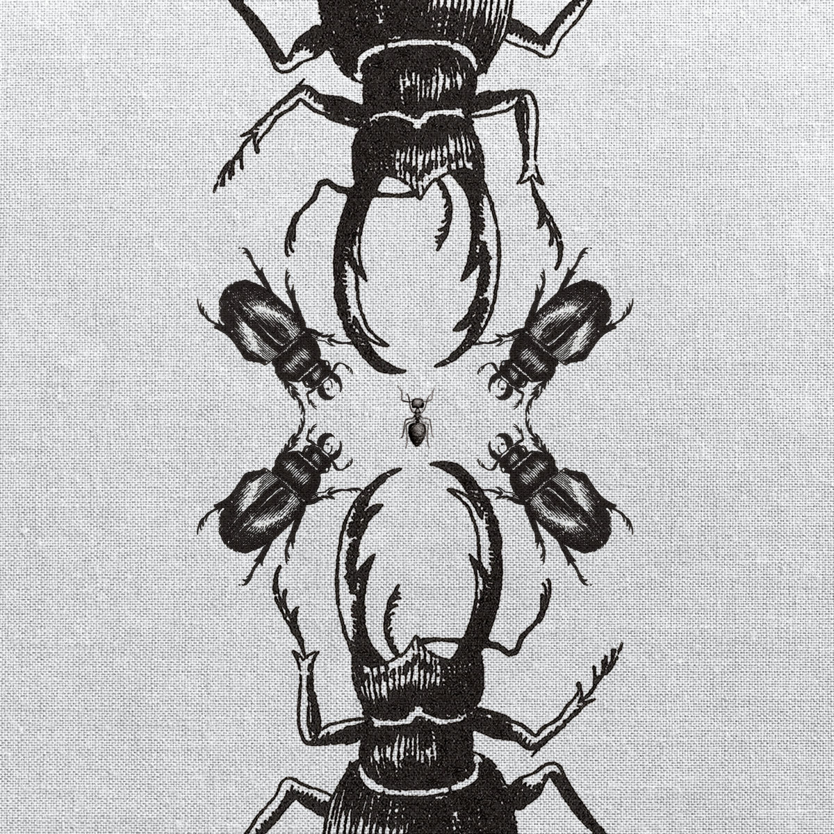 Insects | Various Artists | Dustopian Frequencies Insects | Various Artists | Dustopian Frequencies