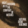 Night Coercion Into The Company Of Witches Cover Art
