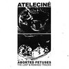 Aborted Fetuses