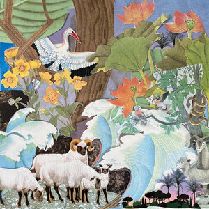 Wild Life cover