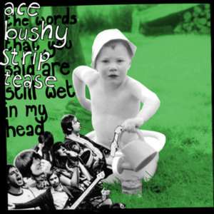 Ace Bushy Striptease — The Words That You Said Are Still Wet In My Head