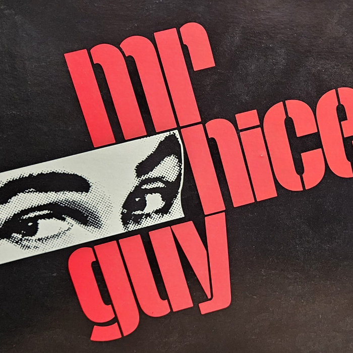Mr Nice Guy | Mr Nice Guy