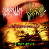 3-Way Split
