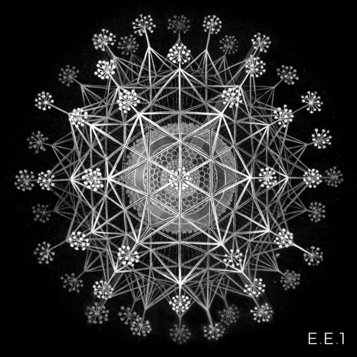 E.E.1 | NDMN
