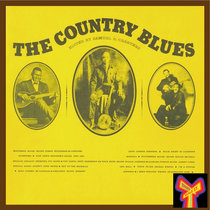 Blues Unlimited #256 - (It Was) Really! The Country Blues (That) Fell This Morning: LP Classics from the Birth of the Blues Revival (Hour 1) cover art