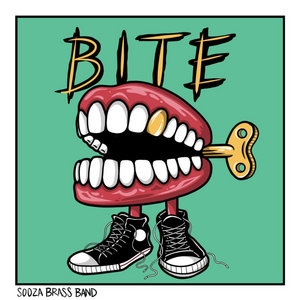 Bite cover