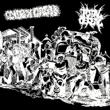 clydeXcash SPLIT
TOTAL CEREAL