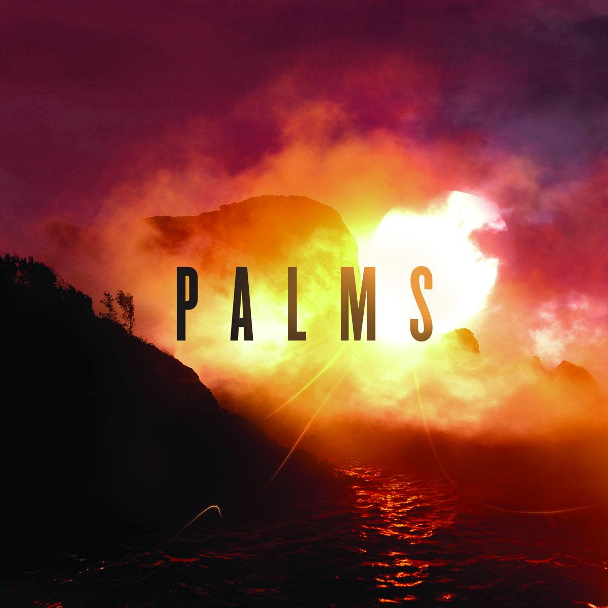 Palm Desert Palms