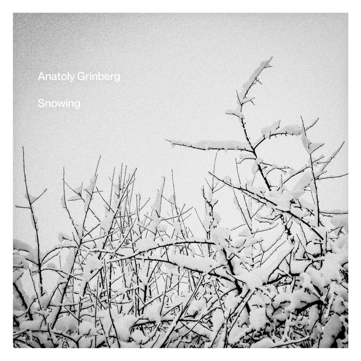 snowing | anatoly grinberg | ant-zen