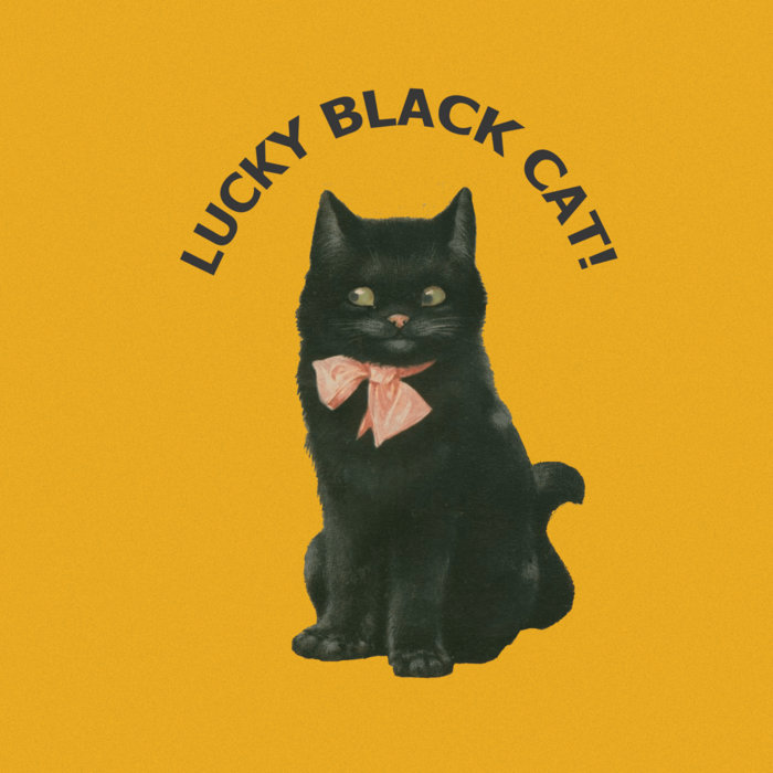 Lucky Black Cat! ensley spirit(02)