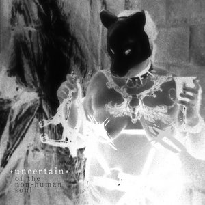 Uncertain — of the non-human soul