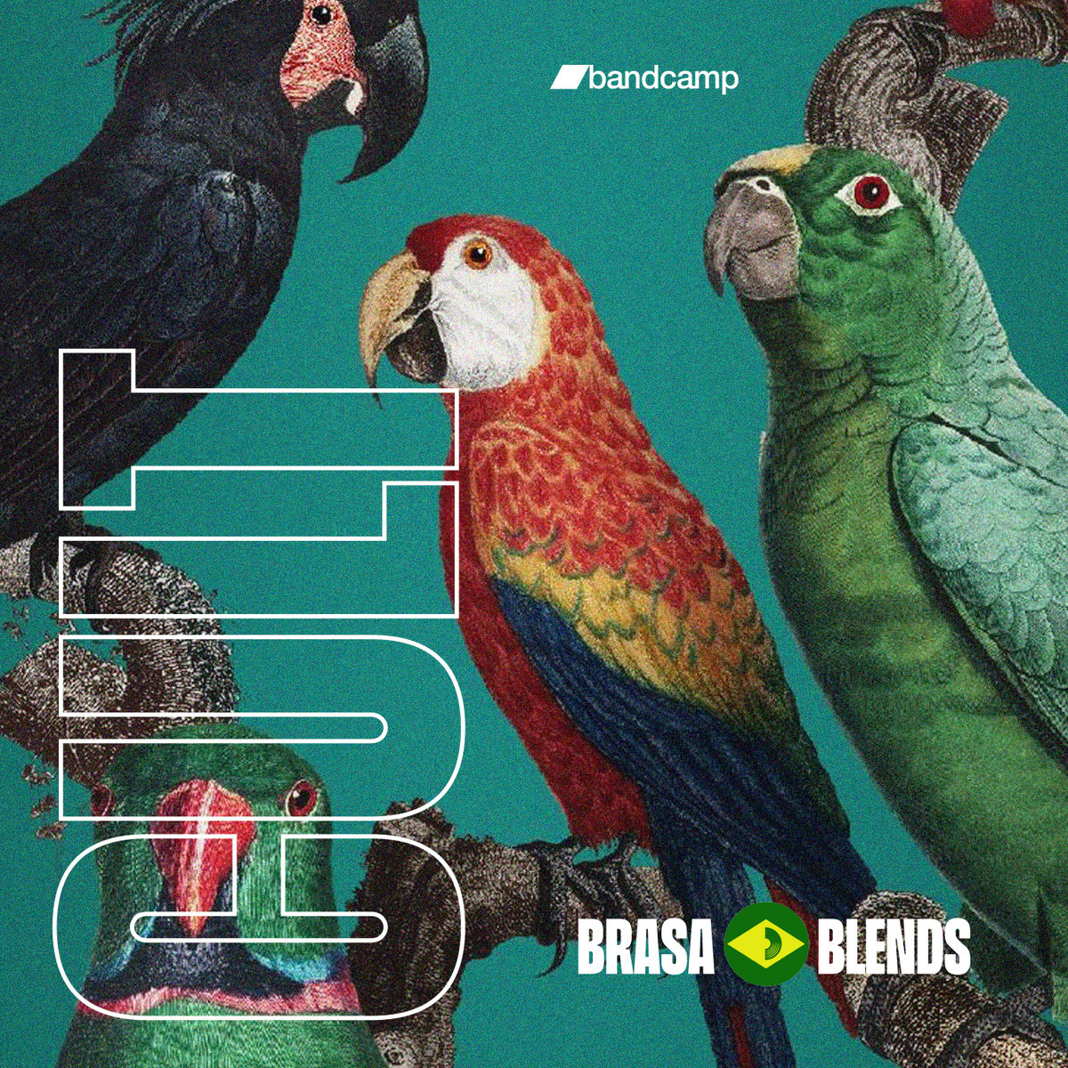 Brasa Cult | Brasa Blends