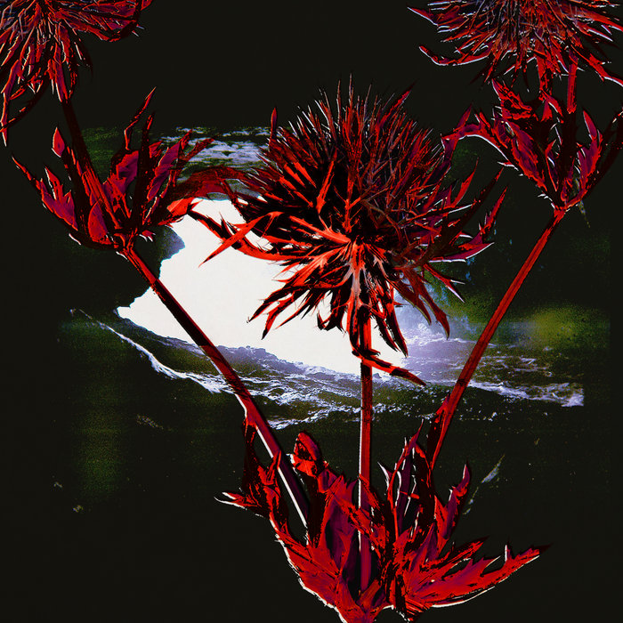 mausoleovlc.bandcamp.com