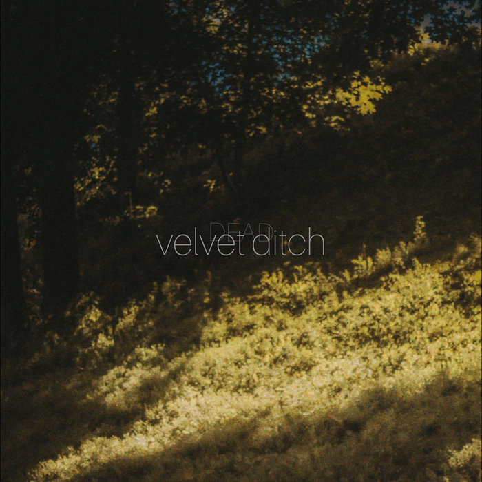velvet ditch dead