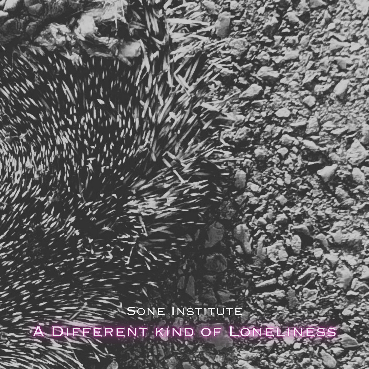 A Different Kind of Loneliness | Sone Institute