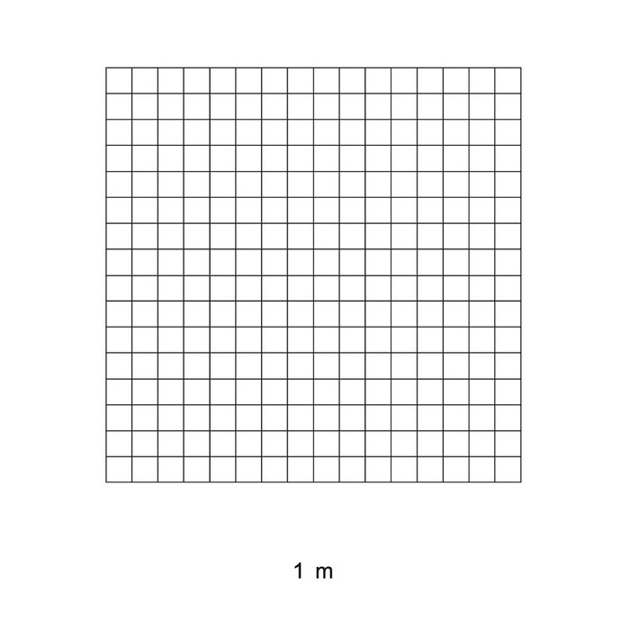 The SI Base Units (metre) thomasmartinnutt