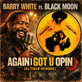 Barry White ft Black Moon - Again I Got U Opin | Dj Tiger Rework