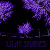 Lilac Shades Cover Art
