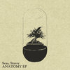 Anatomy EP Cover Art