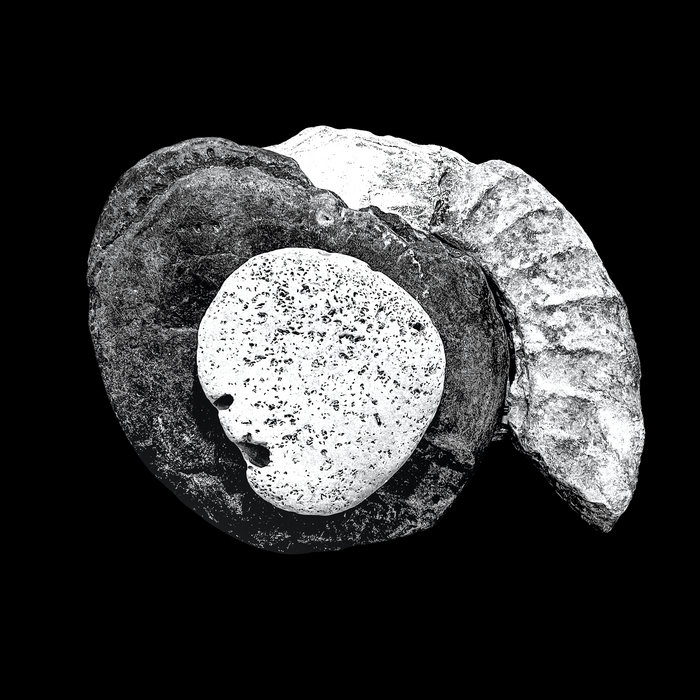 Pochette de PROCESS par Copper Sounds