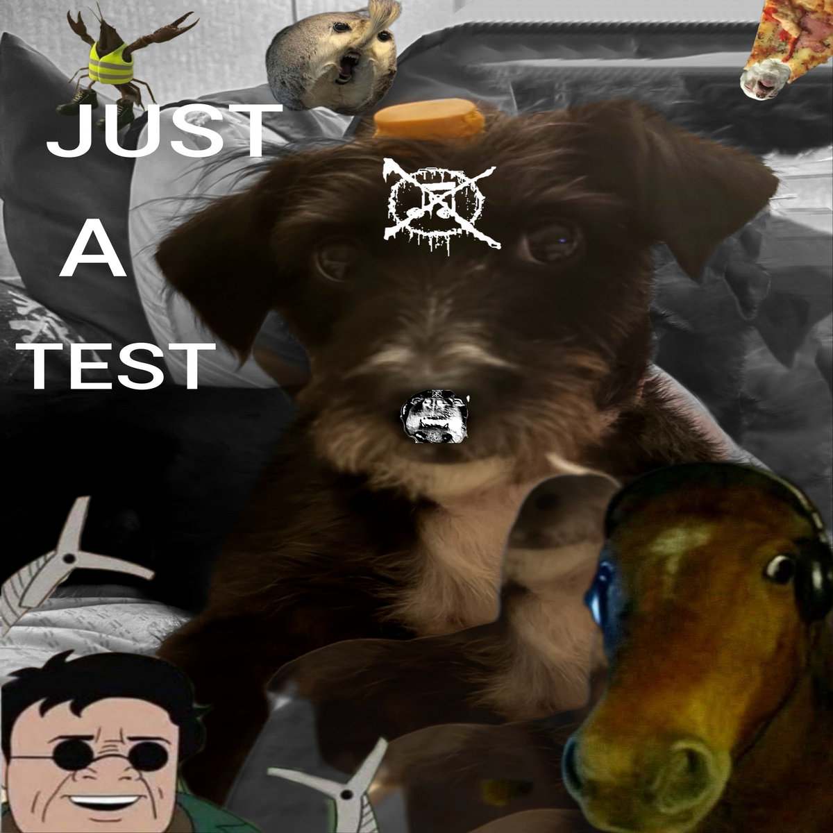 JUST A TEST | Allgood Noises