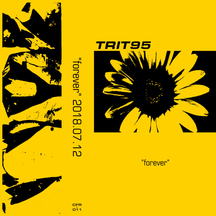 米7” Trilons Im The One / Forever 449 Tag Records /00080 米7” Trilons Im The One / Forever 449 Tag Records /00080