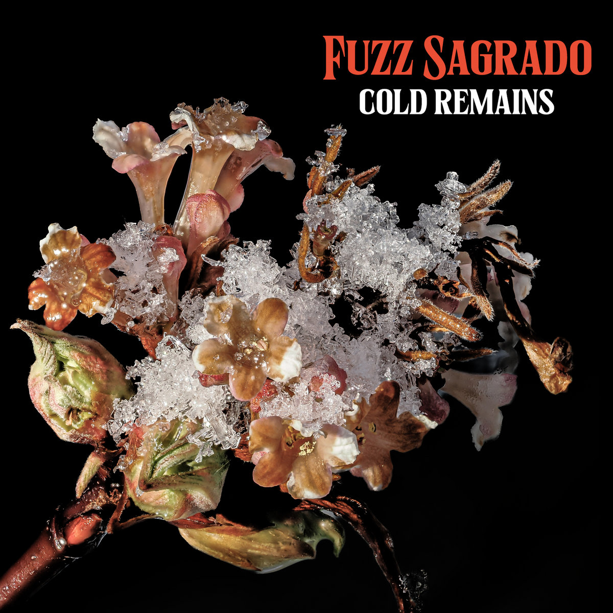 Cold Remains (EP)