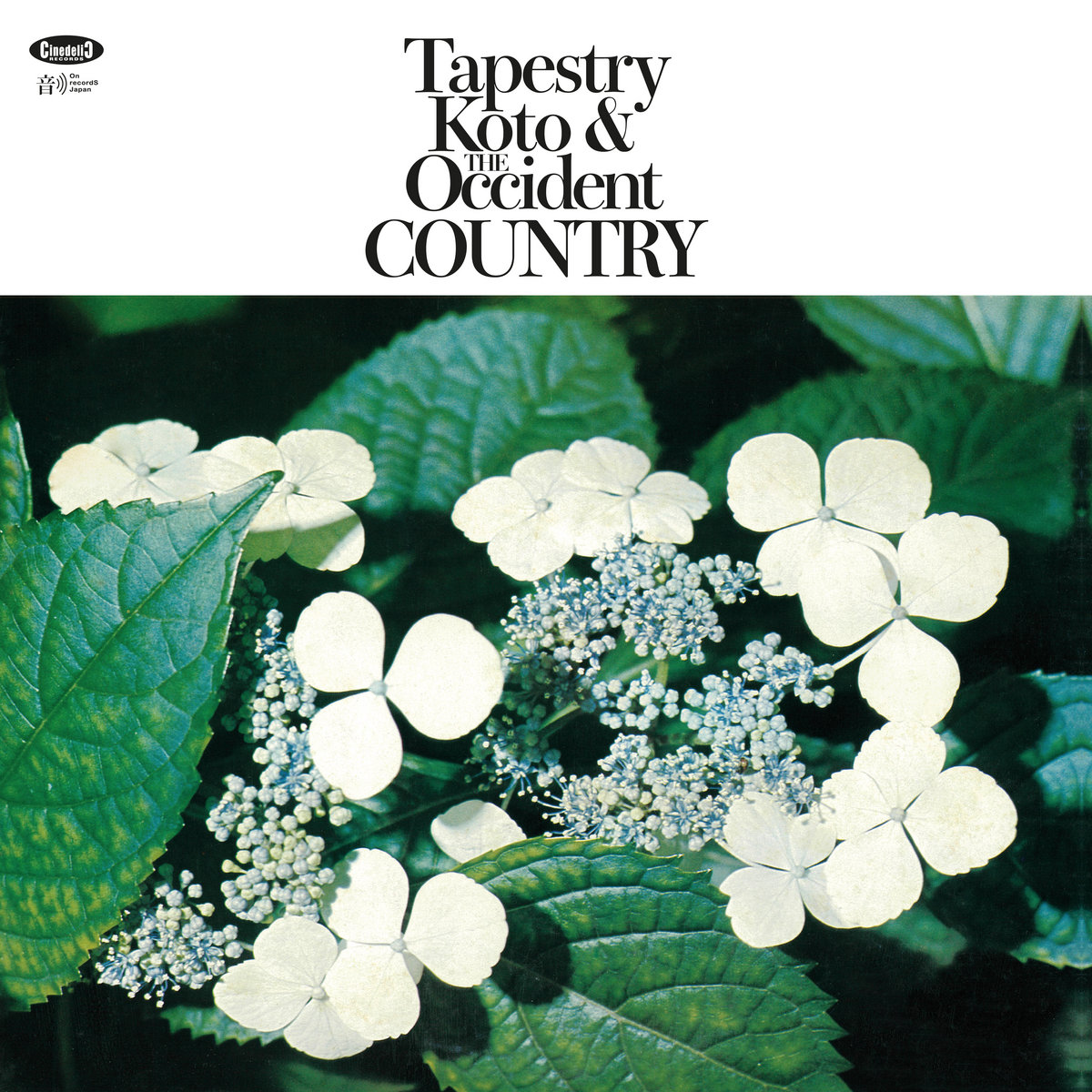 伊LP Toshiko Yonekawa , Kiyoshi Yam Tapestry Koto & The Occident Hillside 箏　山を詩う CNLP73 Cinedelic Records 未開封 /00260 Tapestry: Koto & The Occident Country | Toshiko Yonekawa