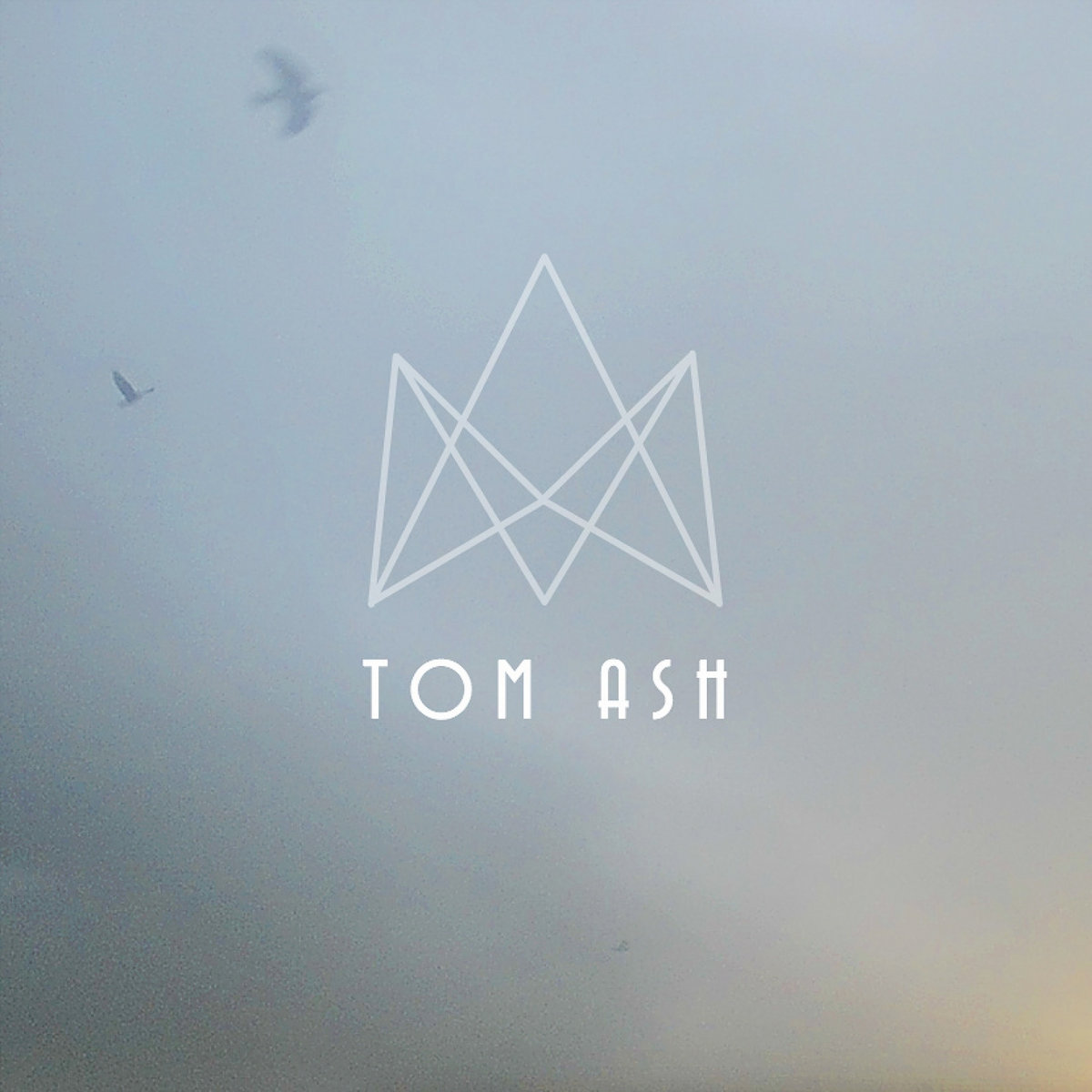 tom ash