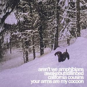 awakebutstillinbed — fourwaysplit