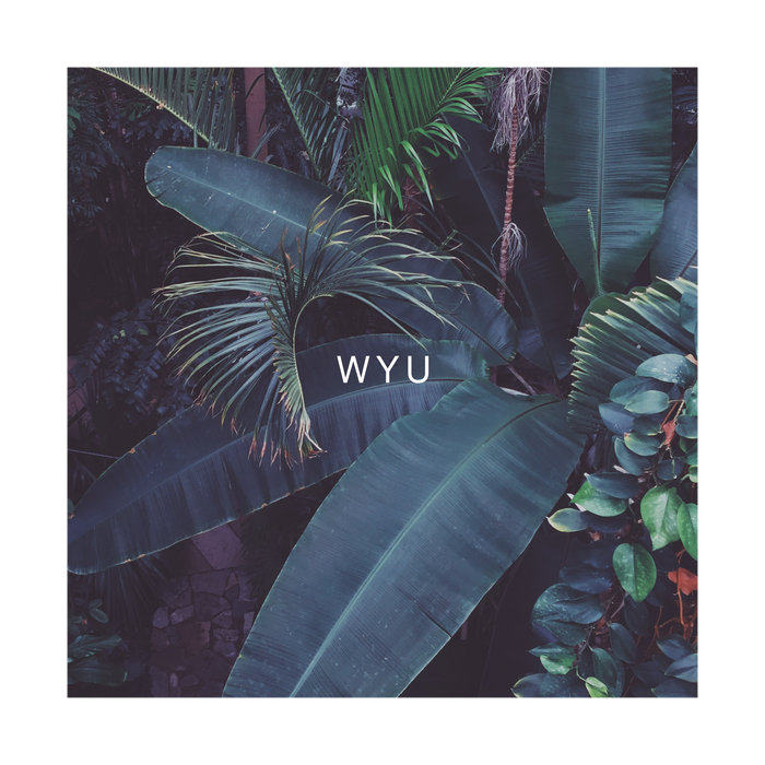 Cycles | WYU