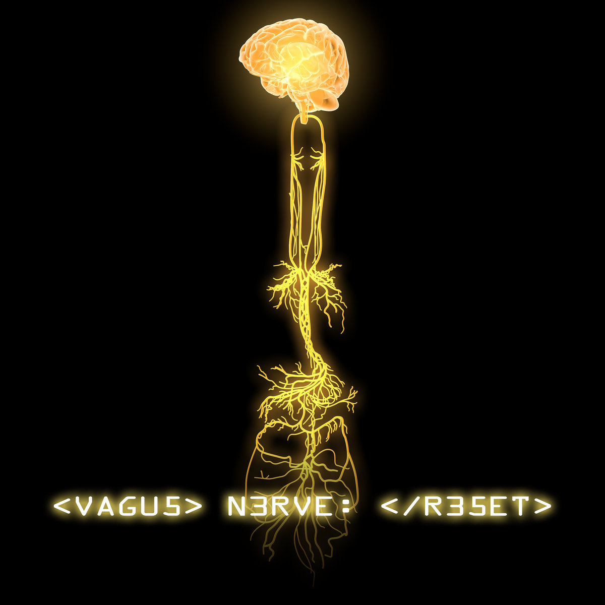 Vagus Nerve Reset Vagus Nerve Reset