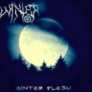 Winter Flesh cover