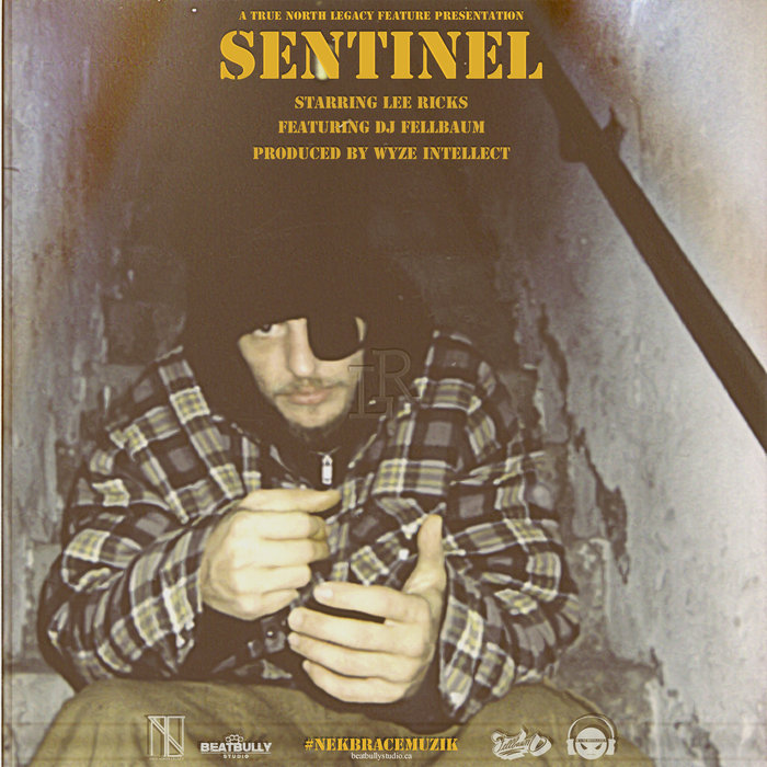 SENTINEL [Feat. DJ Fellbaum | DJ PACK] | Lee Ricks & Wyze Intellect ...