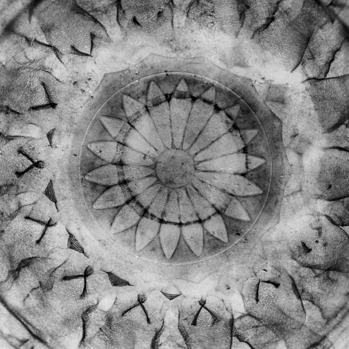 Live on Star's End, WXPN Philadelphia USA. November 5th 2000. vidnaObmana