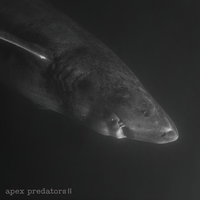 VA - apex predators II [chl014]