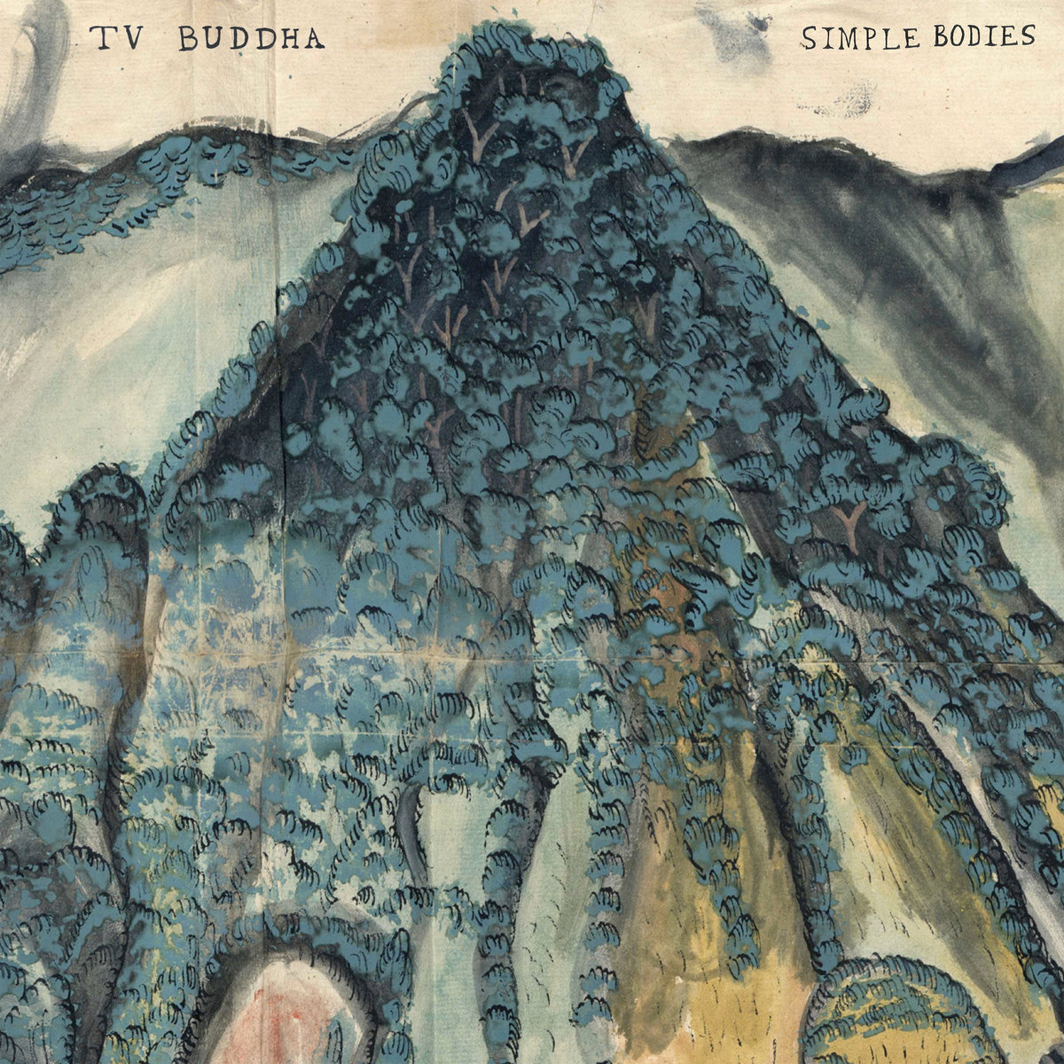 Simple Bodies | TV Buddha