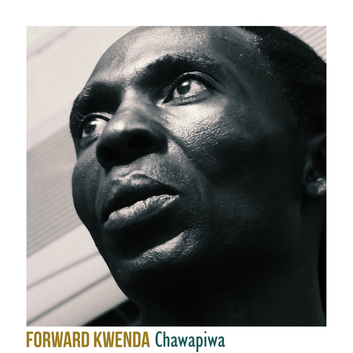 仏12” Forward Kwenda Chawapiwa NNR010 Nyami Nyami records /00250 Chawapiwa | Forward Kwenda | Nyami Nyami Records